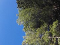 IMG 20170913 170045
