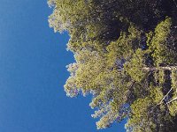 IMG 20170913 170430 257