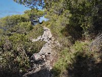 IMG 20170914 083443