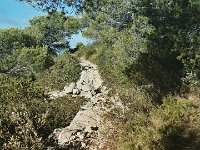 IMG 20170914 124938 760