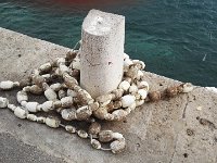 IMG 20170916 171140